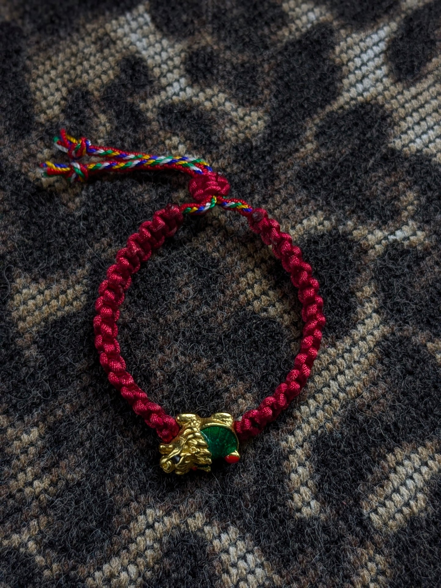 Anima Darno Bordeaux