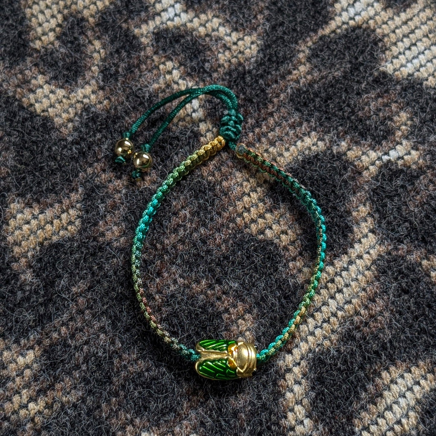 Anima Kai Vert Dégradé