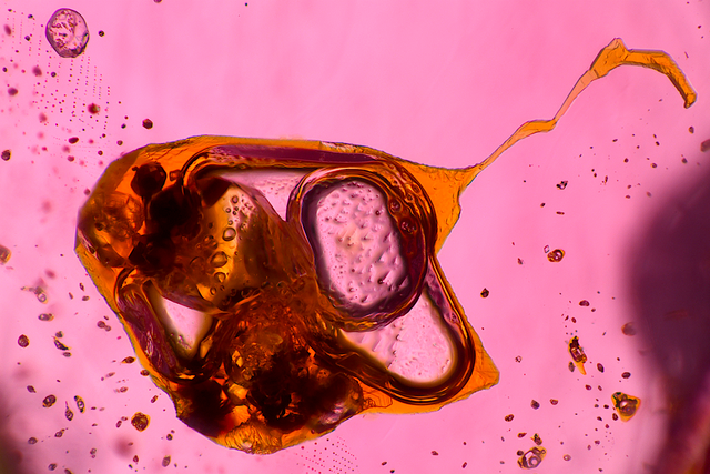 Secrets de Gemmologue : l’Âme des Inclusions