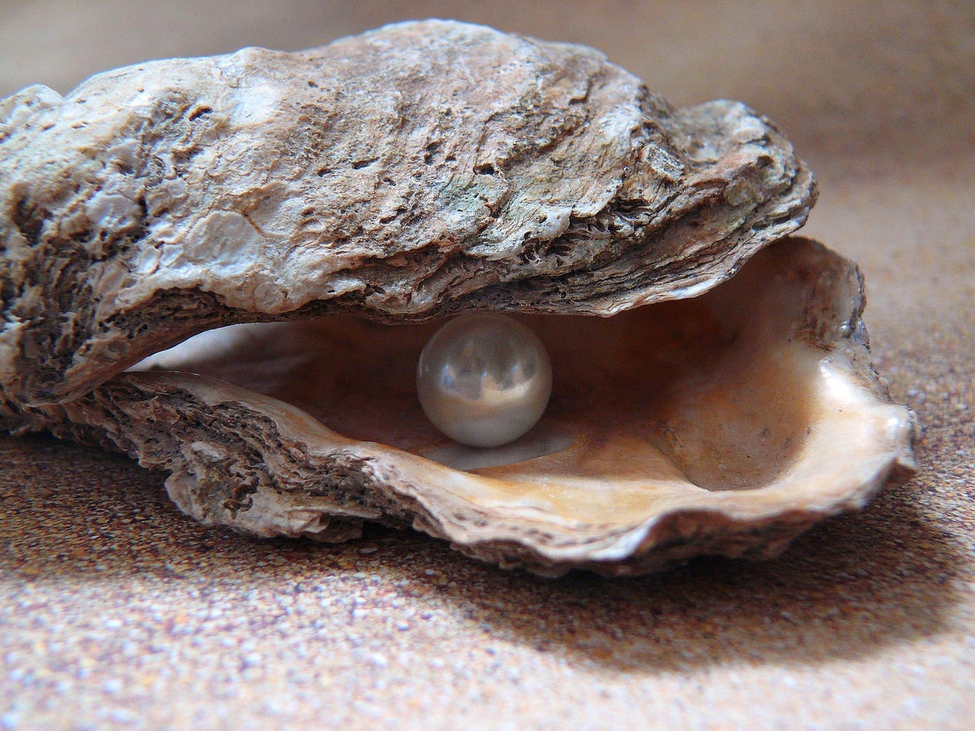 Les Perles : Larmes de Mer et Trésors Nacrés