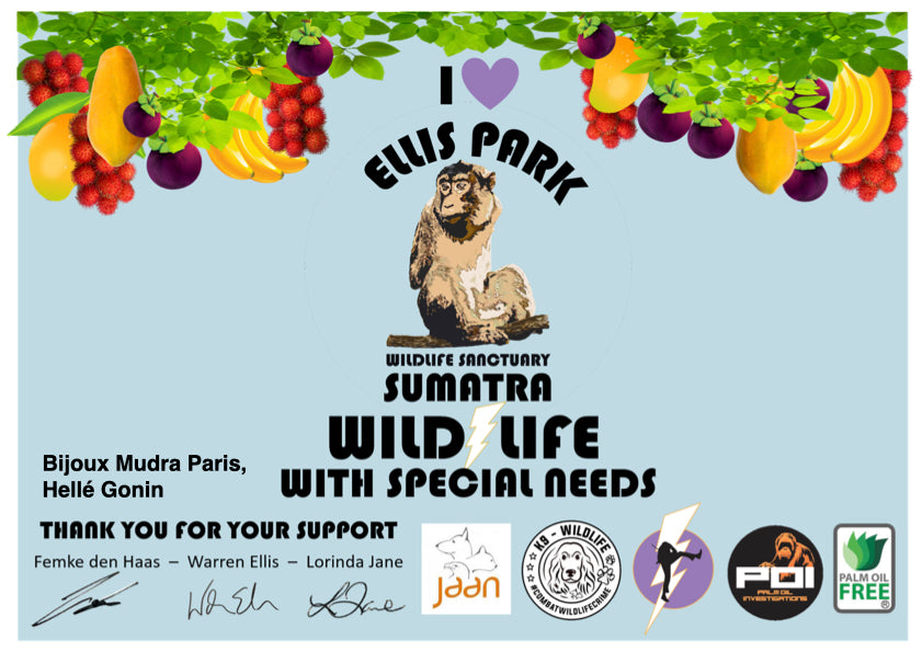 Mudra soutient le Ellis Park Sumatra