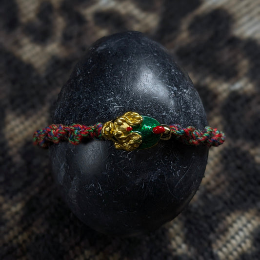 Anima Darno Orange et Vert