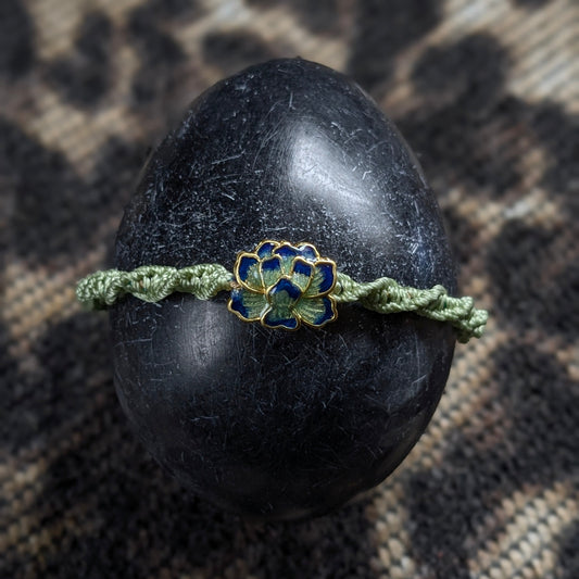 Anima Baron Vert Amande