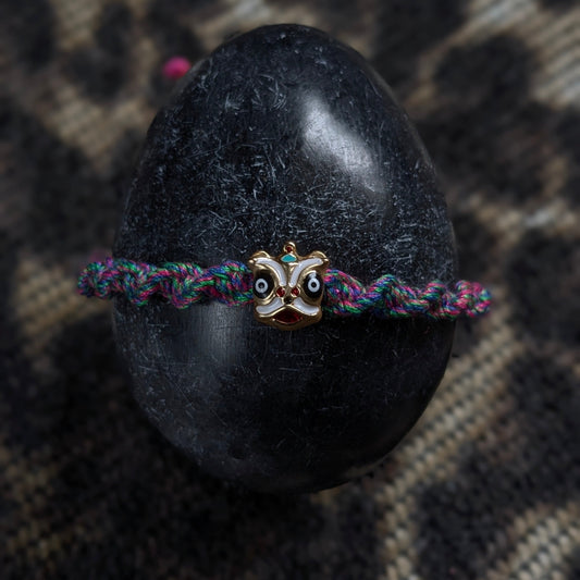 Anima Warren Fuchsia Vert et Bleu